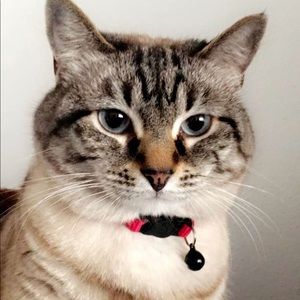 Meet your Posher, Avery